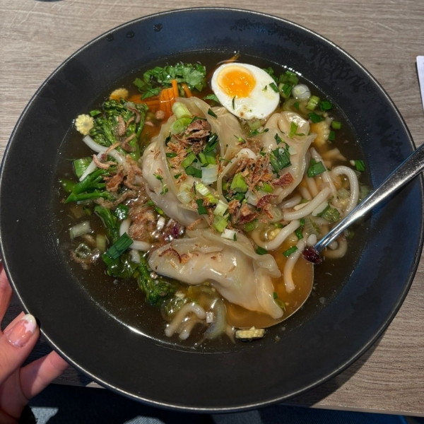 A bowl of ramen with dumplings, noodles, a soft-boiled egg, and sliced spring onions.